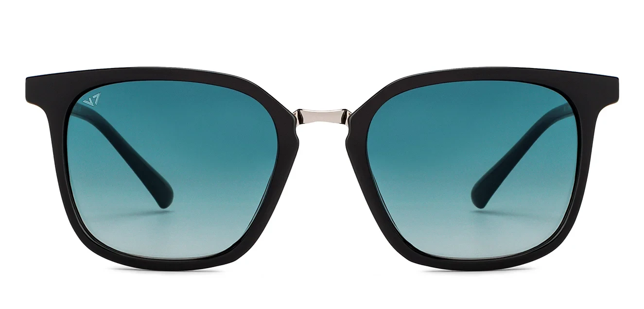 Vincent Chase Polarized