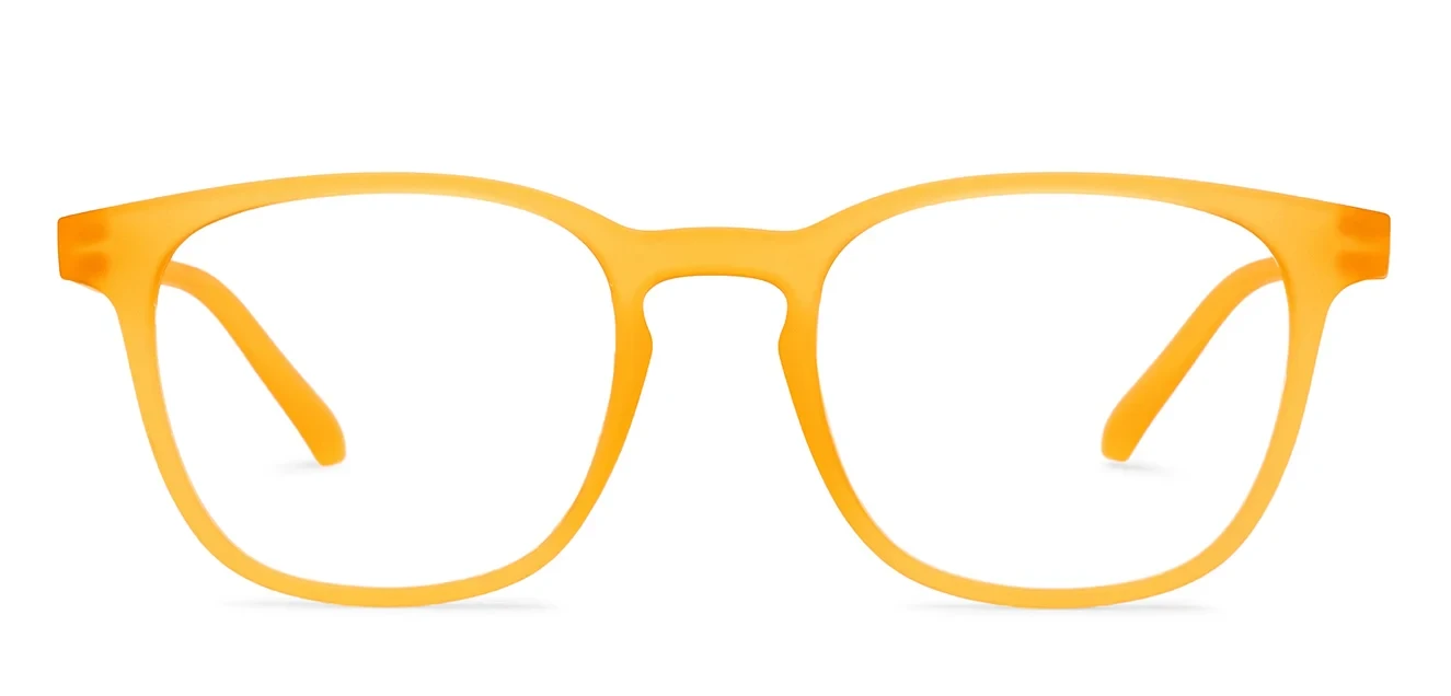 Lenskart Hustlr Screen Glasses